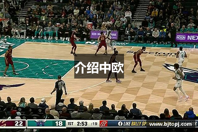 介绍中欧